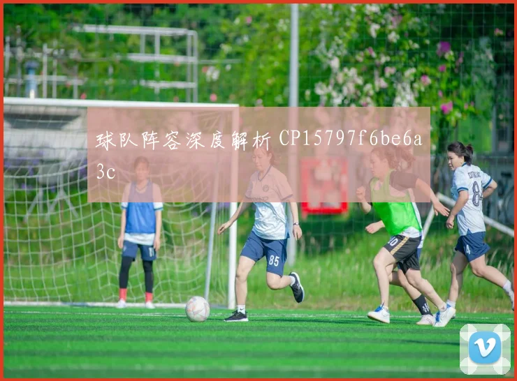 球队阵容深度解析 CP15797f6be6a3c